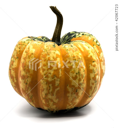 Green pumpkin isolated on white Green pumpkin isolated on white 42067723