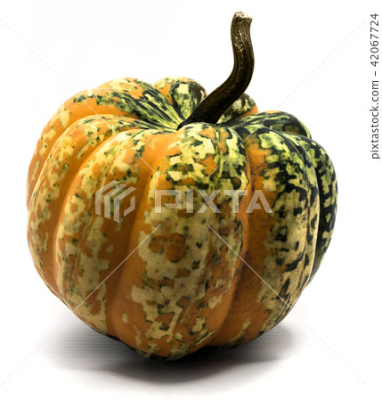 Green pumpkin isolated on white Green pumpkin isolated on white 42067724