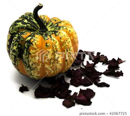 Green pumpkin isolated on white Green pumpkin isolated on white 42067725