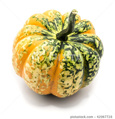 Green pumpkin isolated on white Green pumpkin isolated on white 42067728