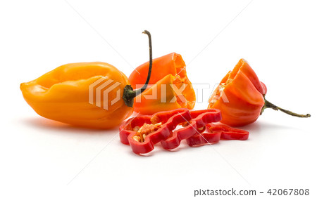 Fresh Habanero chilli isoated on white 42067808