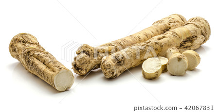 Fresh horseradish isolated on white Fresh horseradish isolated on white 42067831