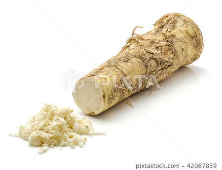 Fresh horseradish isolated on white Fresh horseradish isolated on white 42067839