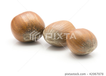 Raw hazelnut isolated on white 42067878