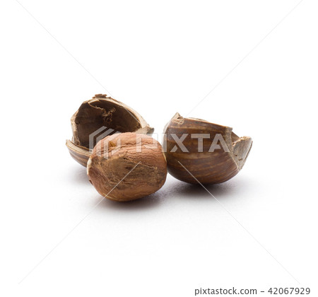 Raw hazelnut isolated on white Raw hazelnut isolated on white 42067929