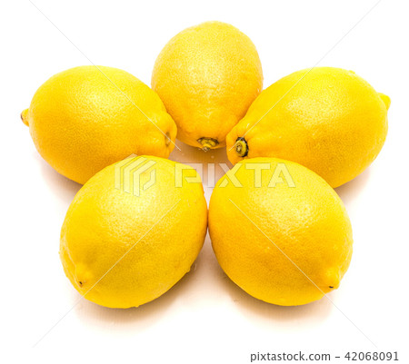 Fresh lemon isolated on white Fresh lemon isolated on white 42068091