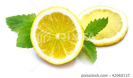 Fresh lemon and melissa isolated Fresh lemon and melissa isolated 42068137
