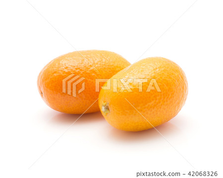 Fresh kumquat isolated on white Fresh kumquat isolated on white 42068326