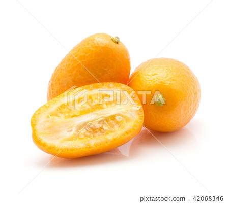 Fresh kumquat isolated on white Fresh kumquat isolated on white 42068346