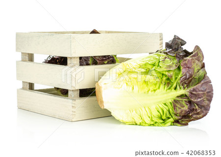 Fresh raw lettuce red little gem isolated on white Fresh raw lettuce red little gem isolated on white 42068353