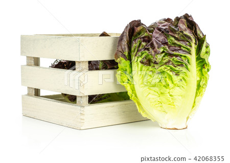 Fresh raw lettuce red little gem isolated on white 42068355
