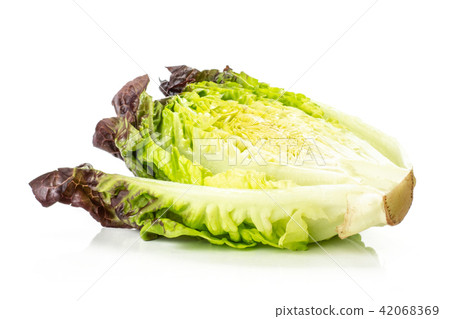 Fresh raw lettuce red little gem isolated on white 42068369