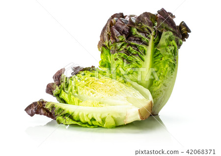Fresh raw lettuce red little gem isolated on white 42068371