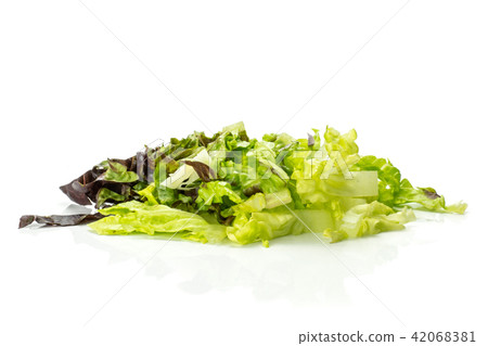 Fresh raw lettuce red little gem isolated on white Fresh raw lettuce red little gem isolated on white 42068381