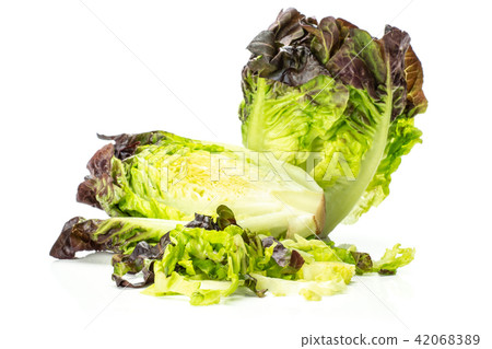 Fresh raw lettuce red little gem isolated on white 42068389