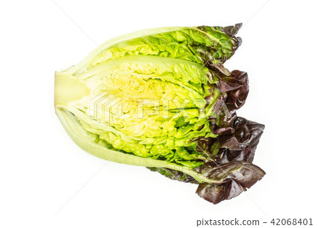 Fresh raw lettuce red little gem isolated on white Fresh raw lettuce red little gem isolated on white 42068401