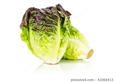 Fresh raw lettuce red little gem isolated on white Fresh raw lettuce red little gem isolated on white 42068413