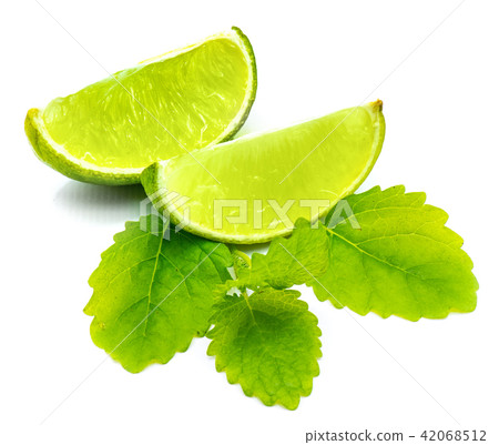Fresh lime and melissa isolated on white 42068512