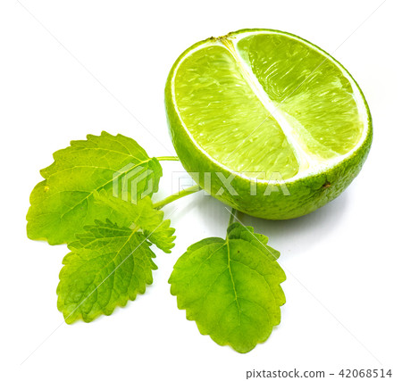 Fresh lime and melissa isolated on white 42068514