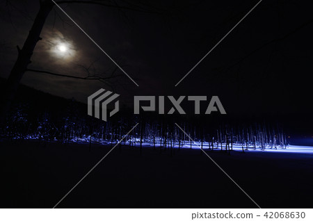 冬天藍色的池塘(北海道·美瑛町)的夜間照亮 冬天藍色的池塘(北海道·美瑛町)的夜間照亮 42068630
