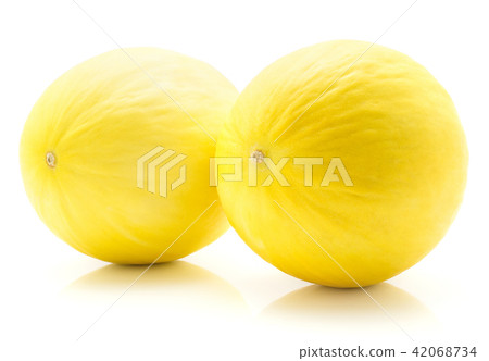 Melon Honeydew isolated on white Melon Honeydew isolated on white 42068734