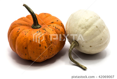 Mix of pumkpin isolated on white Mix of pumkpin isolated on white 42069007