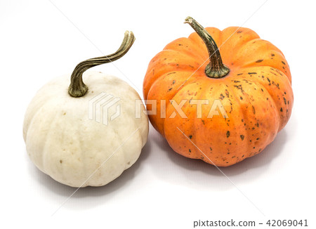 Mix of pumkpin isolated on white 42069041