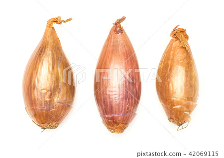 Fresh raw long shallot onion isolated on white 42069115