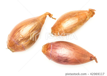 Fresh raw long shallot onion isolated on white 42069117