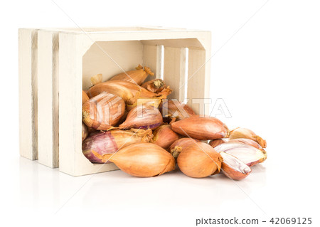 Fresh raw long shallot onion isolated on white 42069125