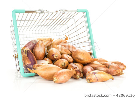 Fresh raw long shallot onion isolated on white Fresh raw long shallot onion isolated on white 42069130