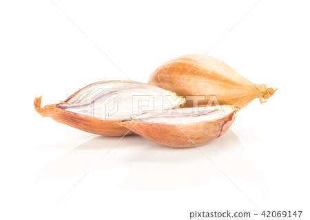 Fresh raw long shallot onion isolated on white Fresh raw long shallot onion isolated on white 42069147