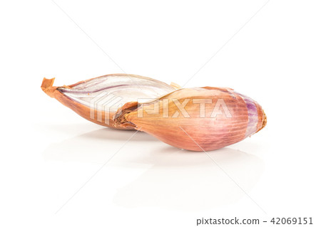 Fresh raw long shallot onion isolated on white Fresh raw long shallot onion isolated on white 42069151
