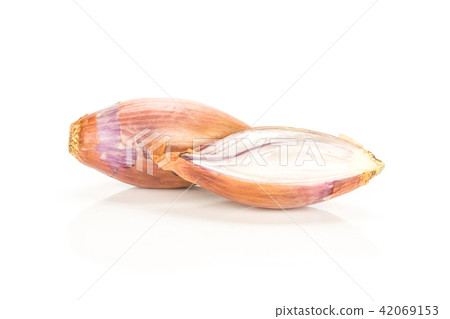 Fresh raw long shallot onion isolated on white Fresh raw long shallot onion isolated on white 42069153