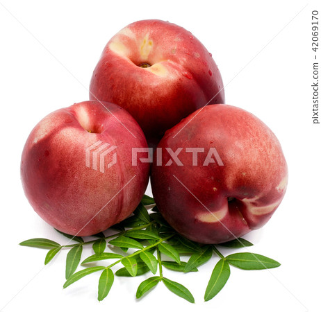 Fresh nectarine isolated on white Fresh nectarine isolated on white 42069170