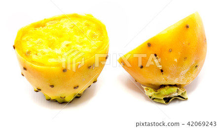 Fresh opuntia isolated on white 42069243