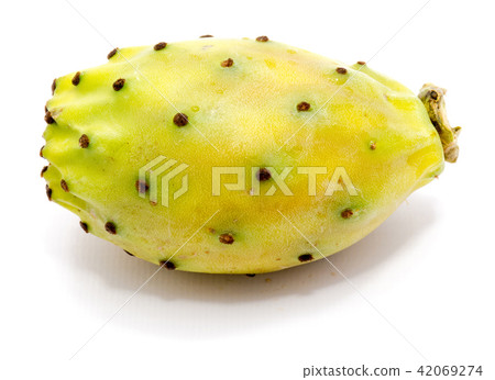 Fresh opuntia isolated on white Fresh opuntia isolated on white 42069274
