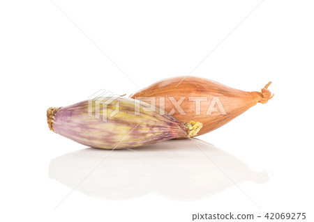 Fresh raw long shallot onion isolated on white 42069275