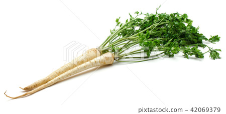 Fresh parsley isolated on white 42069379