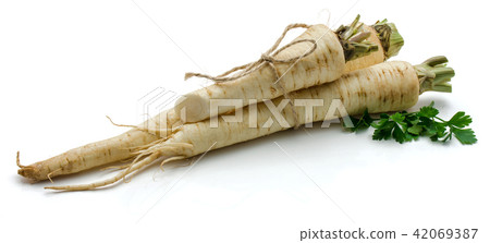 Fresh parsley isolated on white 42069387