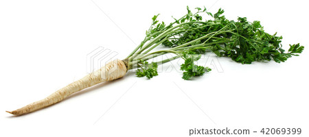Fresh parsley isolated on white Fresh parsley isolated on white 42069399