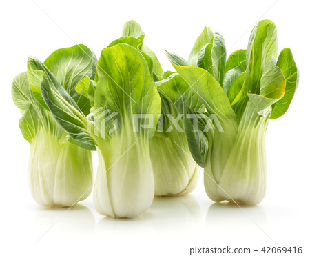 Fresh Bok choy isolated on white Fresh Bok choy isolated on white 42069416