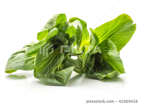 Fresh Bok choy isolated on white Fresh Bok choy isolated on white 42069428