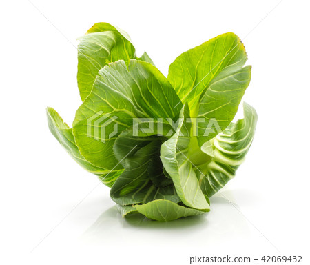 Fresh Bok choy isolated on white Fresh Bok choy isolated on white 42069432