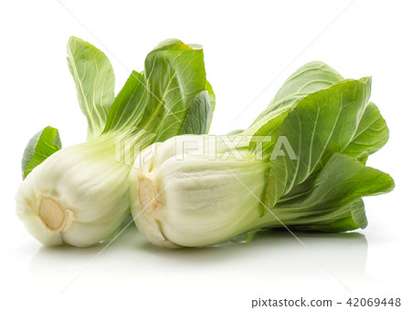 Fresh Bok choy isolated on white Fresh Bok choy isolated on white 42069448