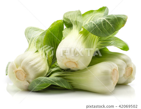 Fresh Bok choy isolated on white 42069502