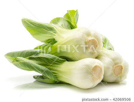 Fresh Bok choy isolated on white Fresh Bok choy isolated on white 42069506