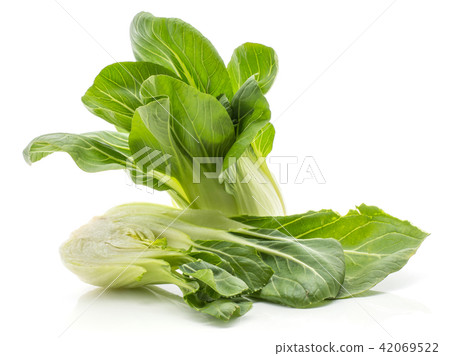 Fresh Bok choy isolated on white 42069522