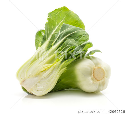 Fresh Bok choy isolated on white Fresh Bok choy isolated on white 42069526