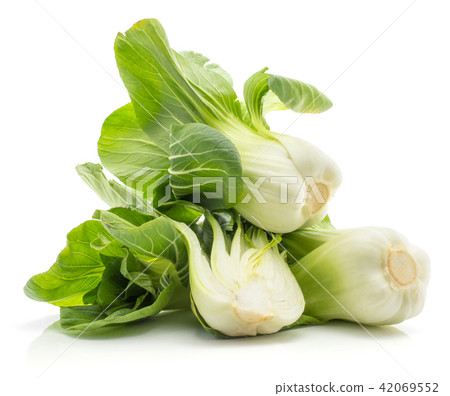 Fresh Bok choy isolated on white Fresh Bok choy isolated on white 42069552